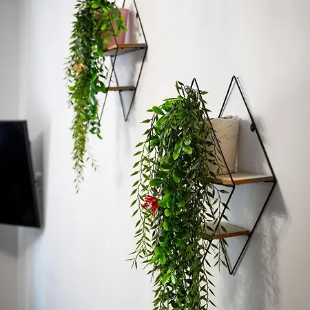 Appartamento Orchidea *